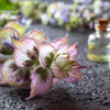 SAGE EXTRACT