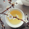 WHITE TEA EXTRACT