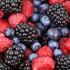 BERRY EXTRACT