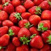 STRAWBERRY OIL