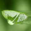 ALOE JUICE